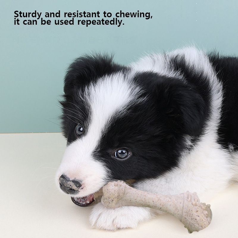 Teeth Cleaning Dog Chew Bone - 12 cm große Haustierspielzeuge, Knochen zum