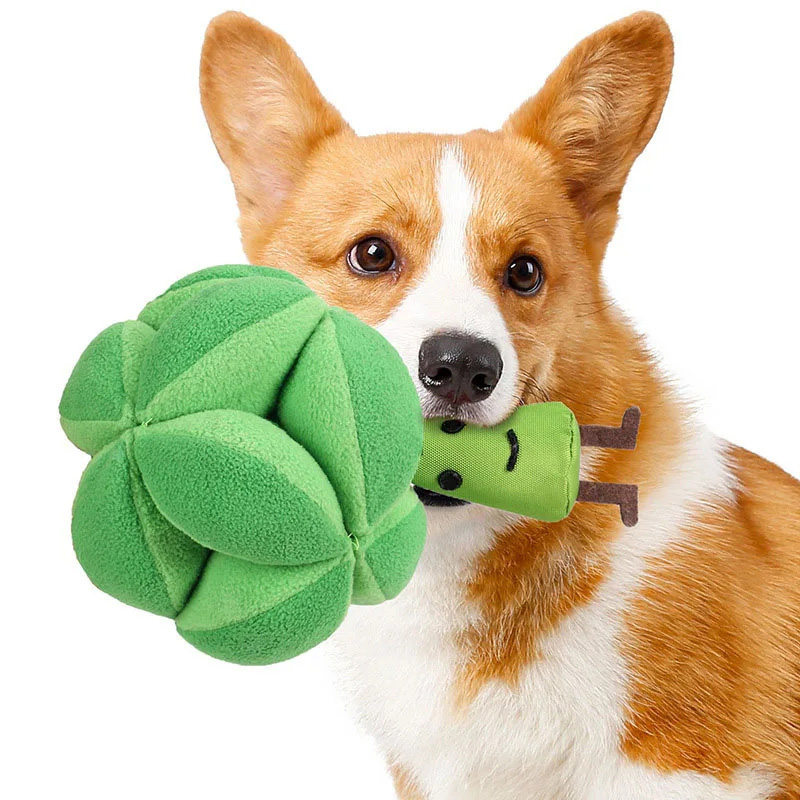 Dog Puzzle Feeder Toy - Snuffle Broccoli Hundespielzeug zur IQ-Förderung, langsam