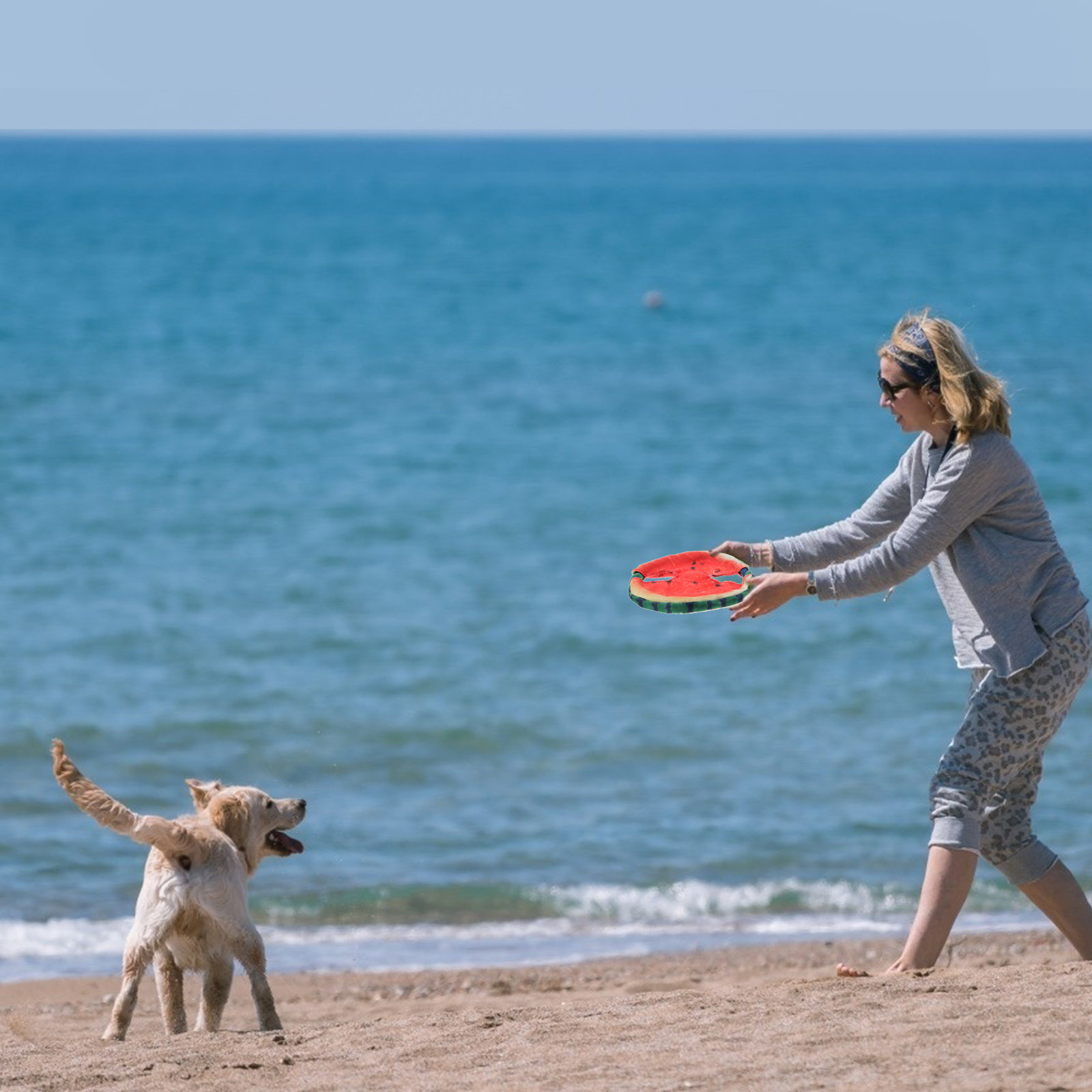 Flying Disc Dog Training Toy - 1 Stück Haustier-Spielzeug in Form einer