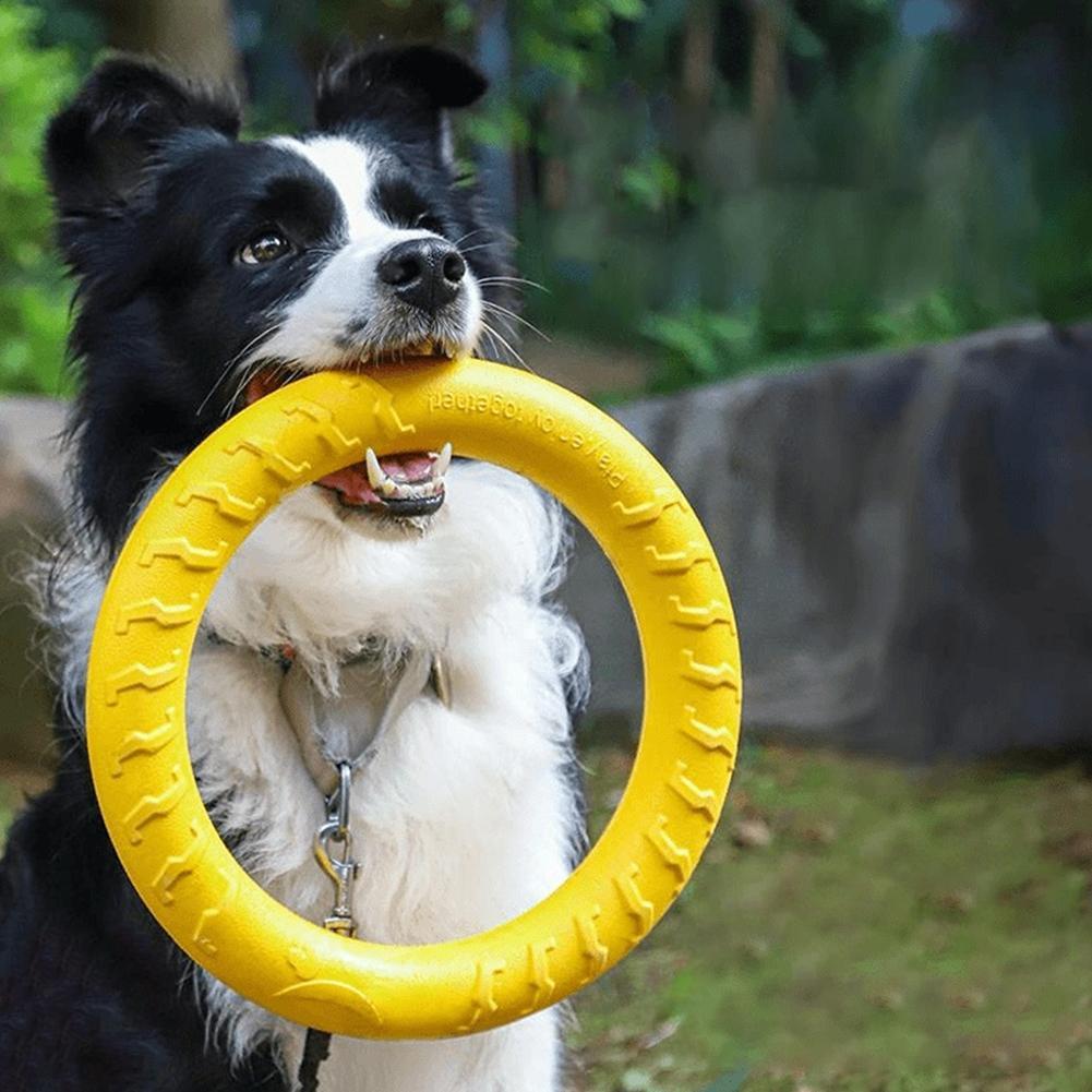 Indestructible Dog Chew Toy - Hundespielzeugringe, unzerstörbar, zum Kauen, fliegend, schwimmend,