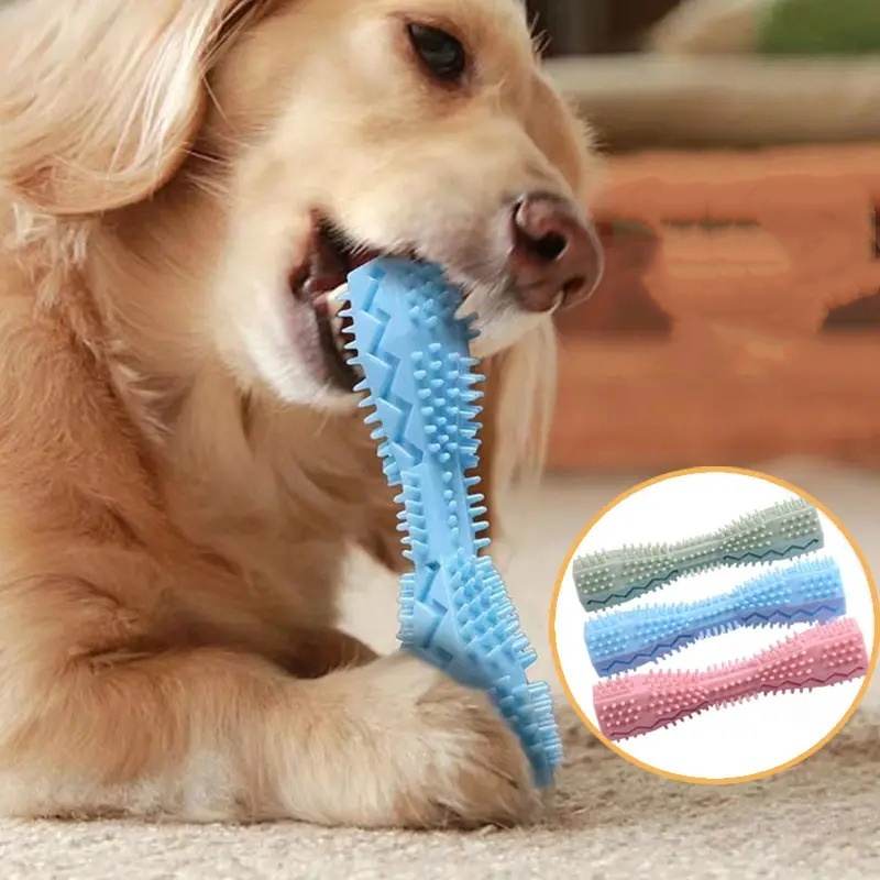 Hundezahnbürste, langlebiger H – Indestructible Dog Chew Toy Bewertung und Preis