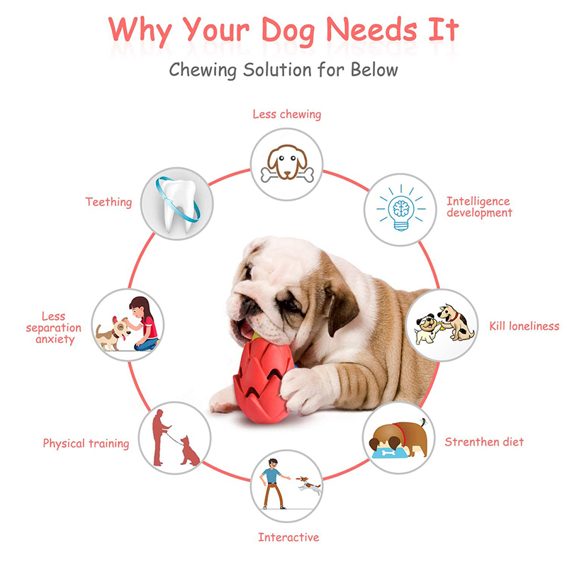 Benepaw Unzerstörbar Pitaya Hu – Indestructible Dog Chew Toy Bewertung und Preis