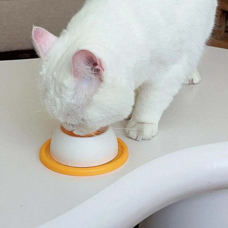 Haustier Slow-Food-Schüssel Hu – Dog Puzzle Feeder Toy Bewertung und Preis