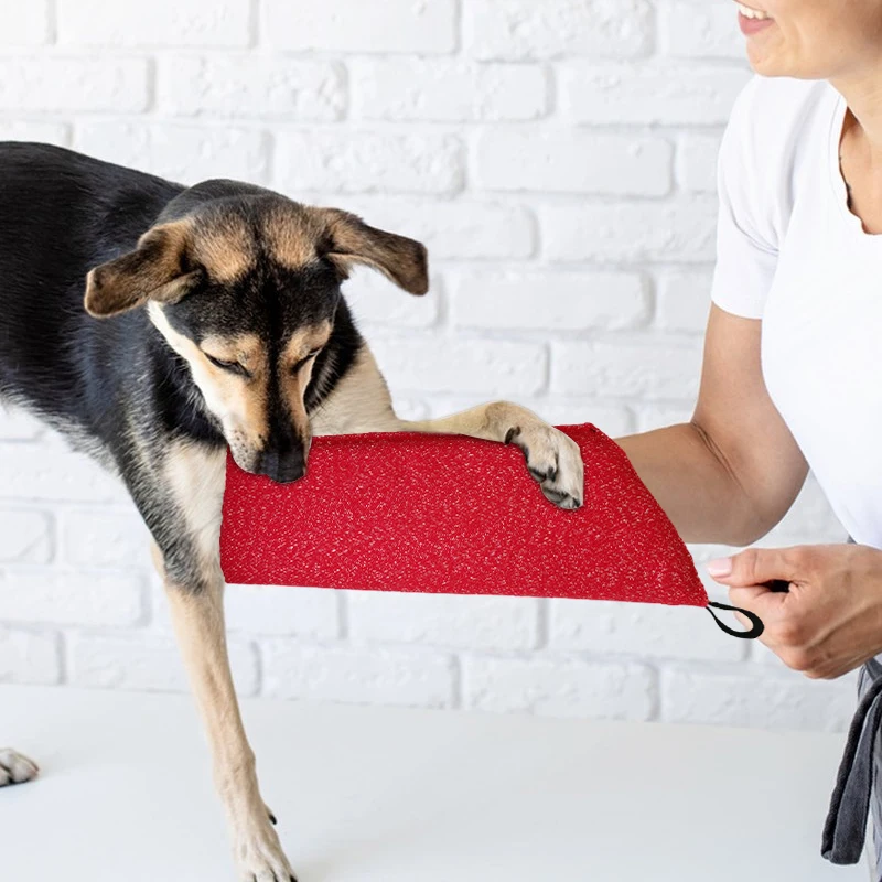 Hundetrainingshülsen Welpen be – Interactive Squeaky Plush Dog Toy Bewertung und Preis