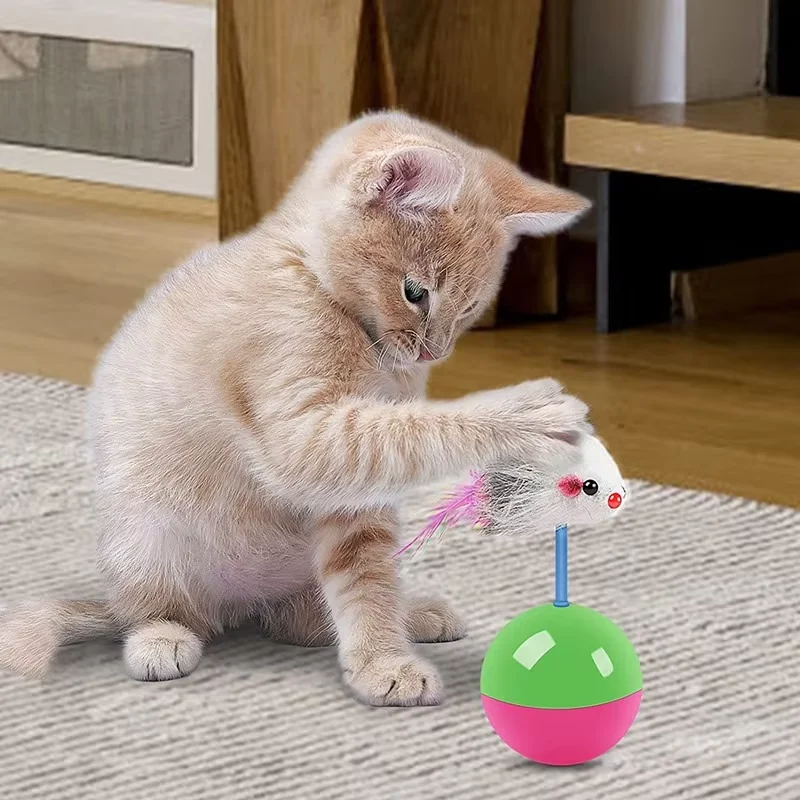 Interaktiver Katzenspielball m – Interactive Squeaky Plush Dog Toy Bewertung und Preis