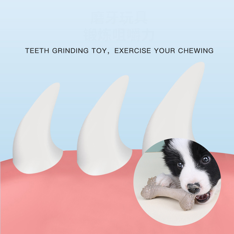 12 cm große Haustierspielzeuge – Teeth Cleaning Dog Chew Bone Bewertung und Preis
