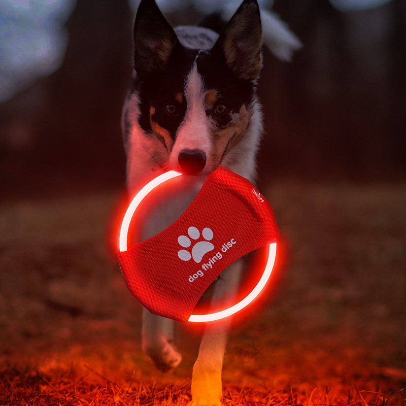LED-Fliegende Scheibe für Hund – Flying Disc Dog Training Toy Bewertung und Preis