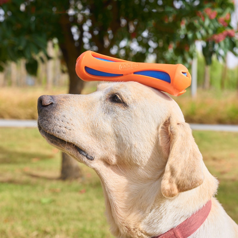 Unzerstörbares Schwimmendes Hu – Indestructible Dog Chew Toy Bewertung und Preis