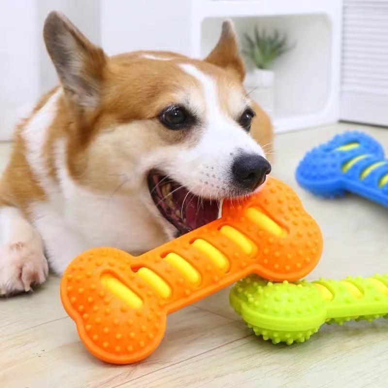 Gummi-Knochen-Hundekauartikel: – Teeth Cleaning Dog Chew Bone Bewertung und Preis
