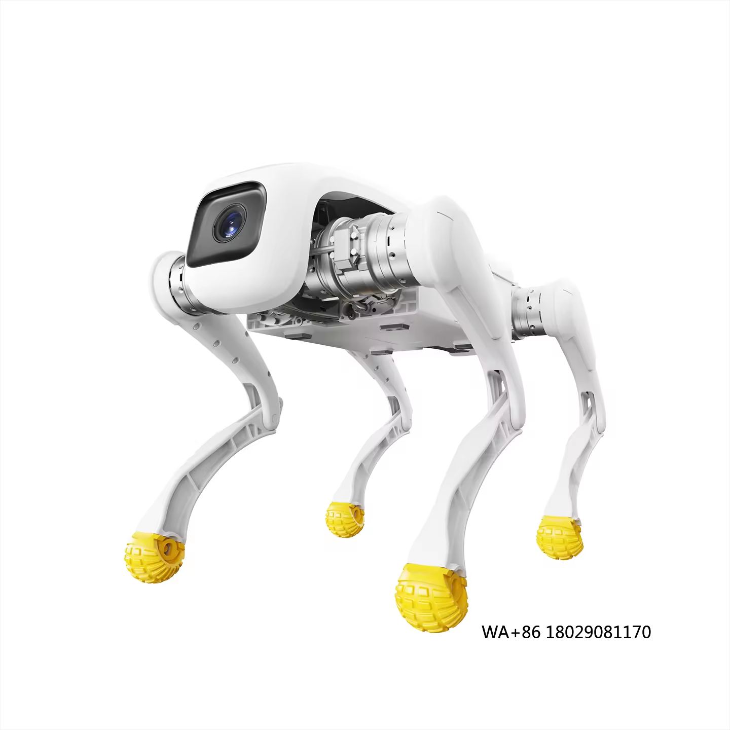 Design Dog Robot AI Elektronis – Dog Toys Bewertung und Preis