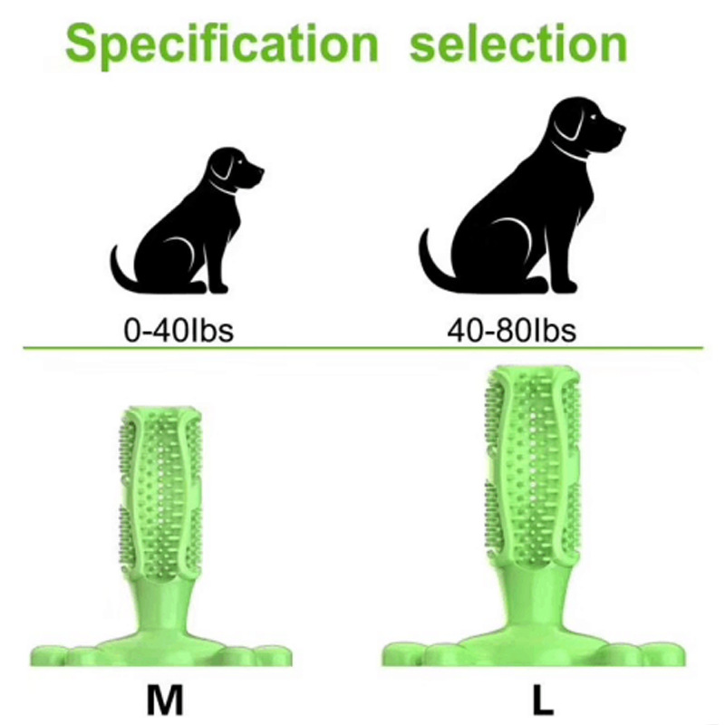 Haustier Hund Kaktus interakti – Rubber Treat Dispensing Dog Toy Bewertung und Preis
