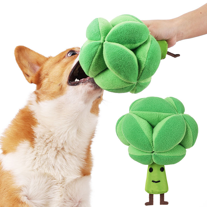 Snuffle Broccoli Hundespielzeu – Dog Puzzle Feeder Toy Bewertung und Preis