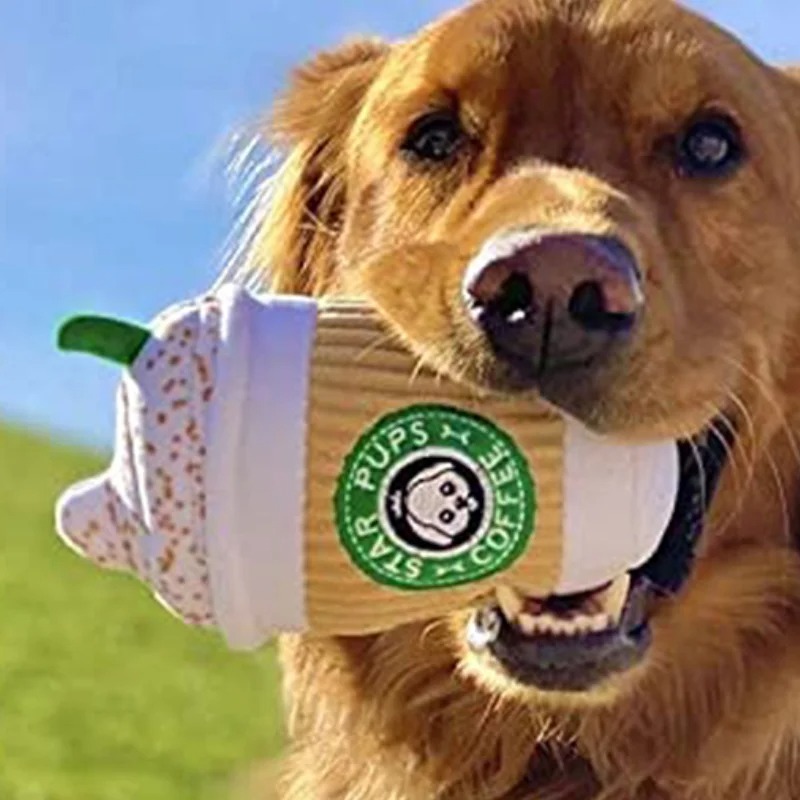 Zahnschleifspielzeug für Hunde – Interactive Squeaky Plush Dog Toy Bewertung und Preis