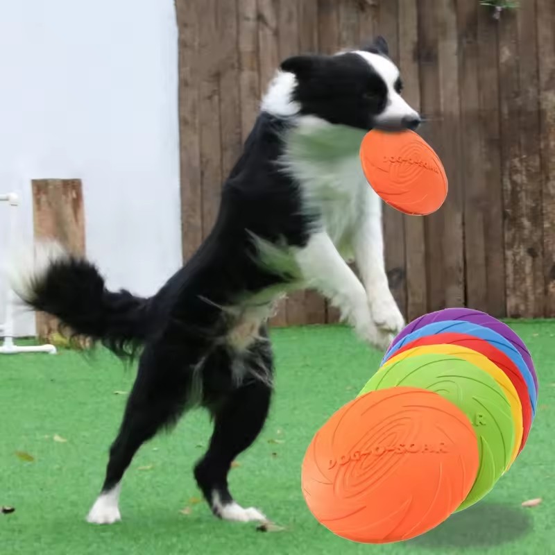 Interaktives Silikon-Flugschei – Flying Disc Dog Training Toy Bewertung und Preis