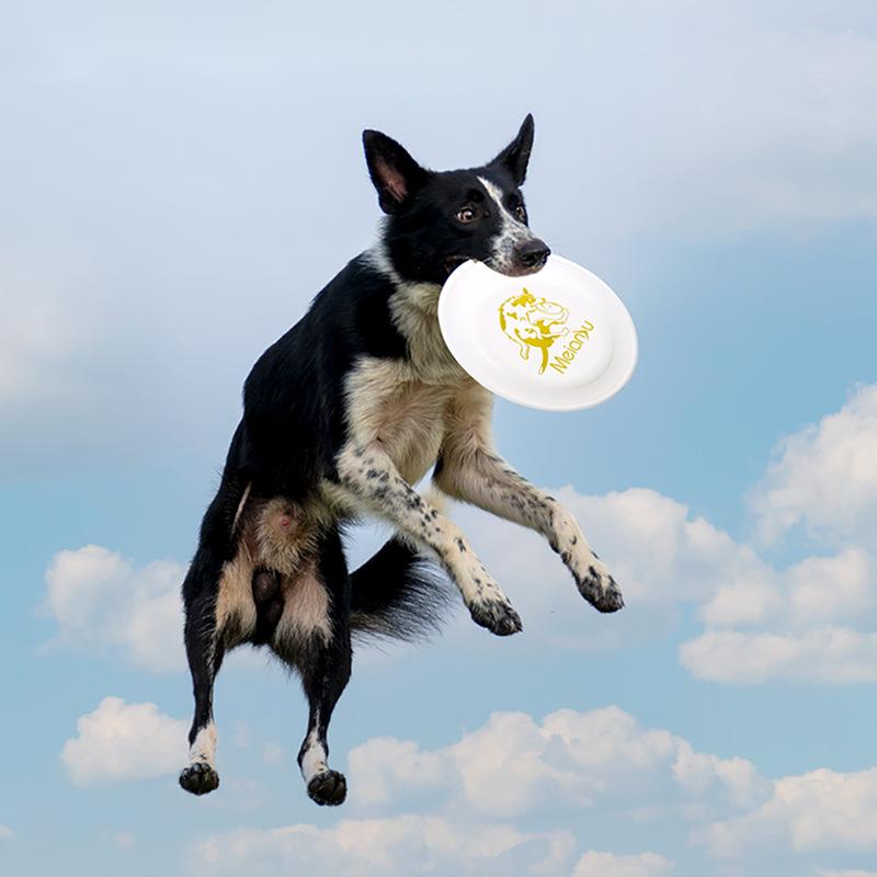 Ouzey Biss resistente Haustier – Flying Disc Dog Training Toy Bewertung und Preis