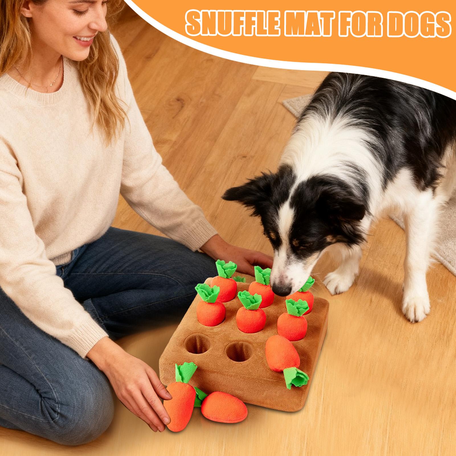 Schnüffelmatte für Welpen, Lus – Snuffle Mat For Dogs Bewertung und Preis