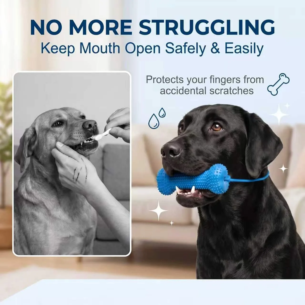 Wiederverwendbares Hundekauspi – Teeth Cleaning Dog Chew Bone Bewertung und Preis