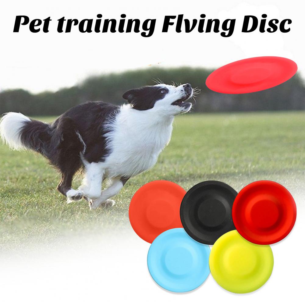 Haustier Hund fliegende Scheib – Flying Disc Dog Training Toy Bewertung und Preis