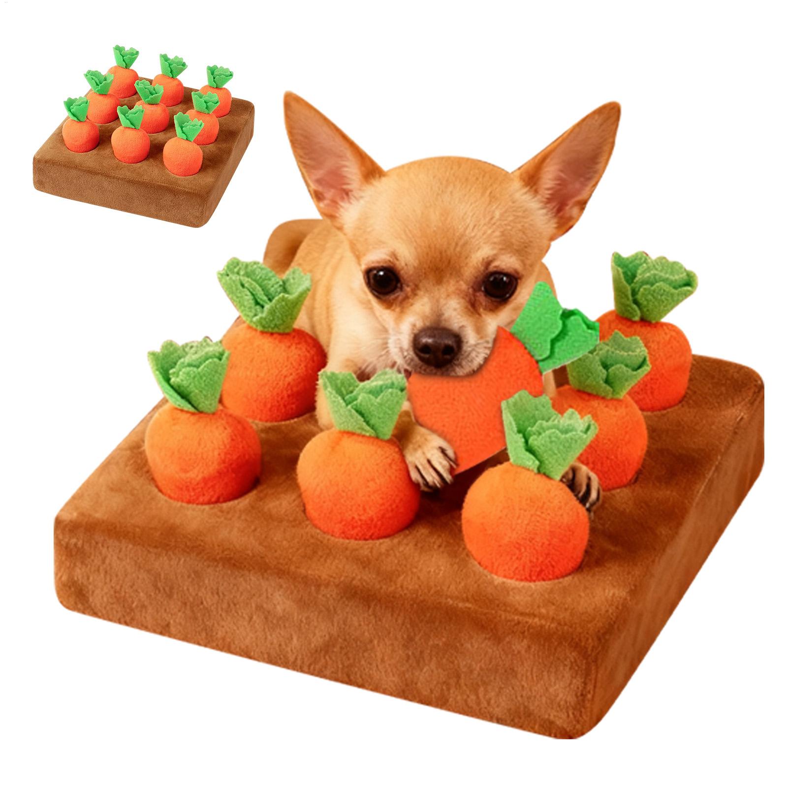 Interaktives Karotten-Spielzeu – Snuffle Mat For Dogs Bewertung und Preis