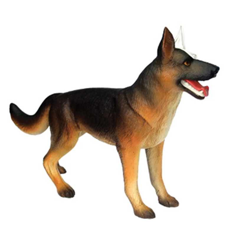 Tierorgan-Anatomie-Modell 4D H – Dog Toys Bewertung und Preis