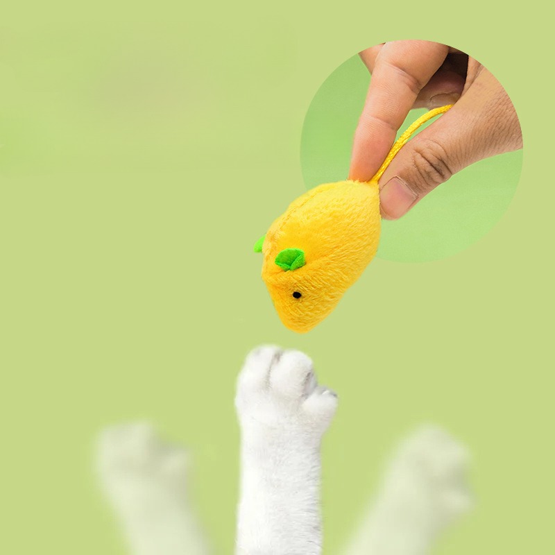 Katzenmaus-Spielzeug, interakt – Catnip Interactive Plush Mouse Bewertung und Preis