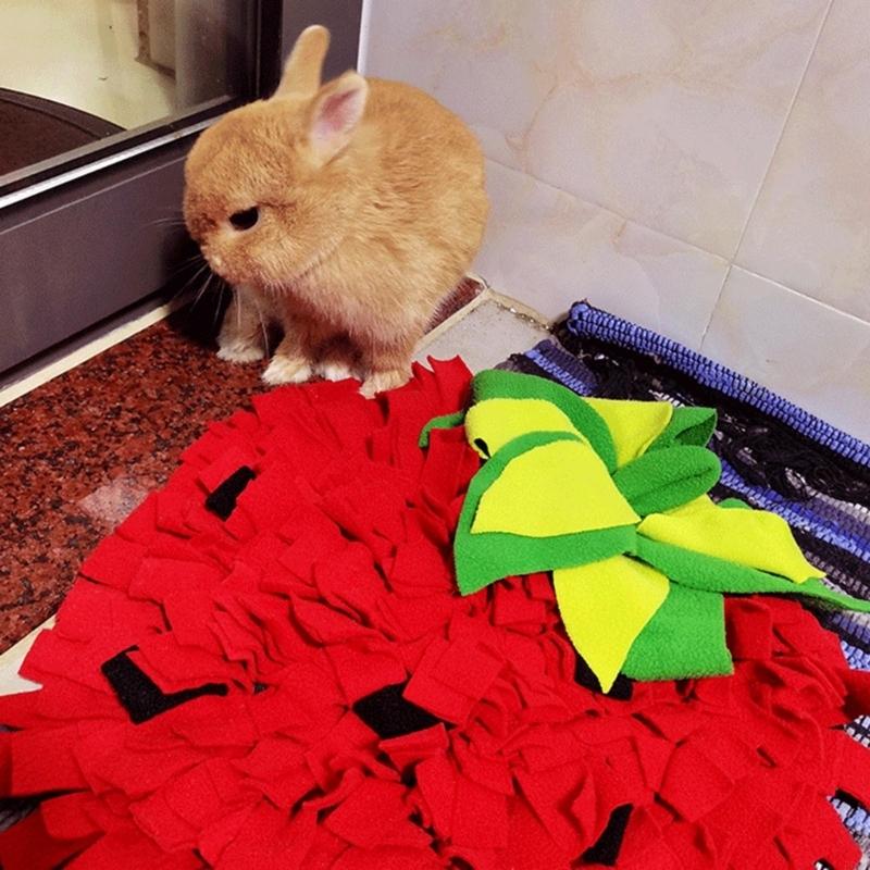 Große Schnüffelmatte für Hunde – Snuffle Mat For Dogs Bewertung und Preis