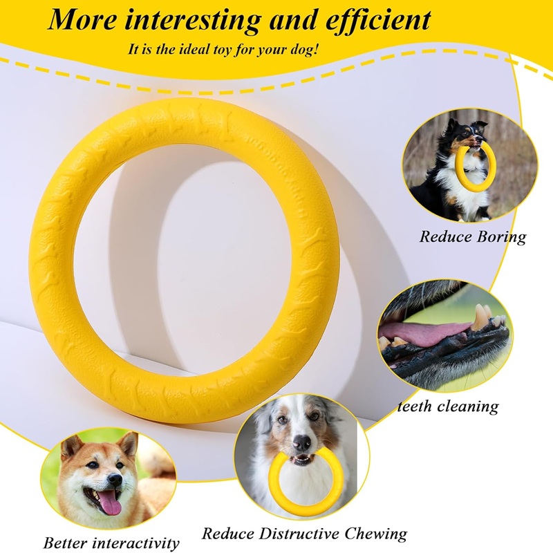 Hundespielzeug, Fliegende Sche – Flying Disc Dog Training Toy Bewertung und Preis