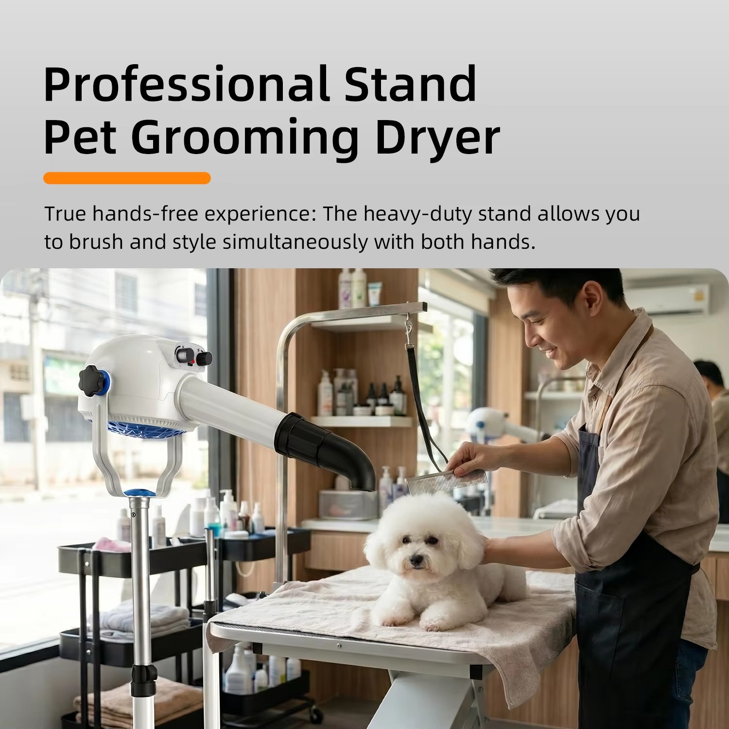Shernbao PSD-920P Anionischer  – Pet Grooming Bewertung und Preis