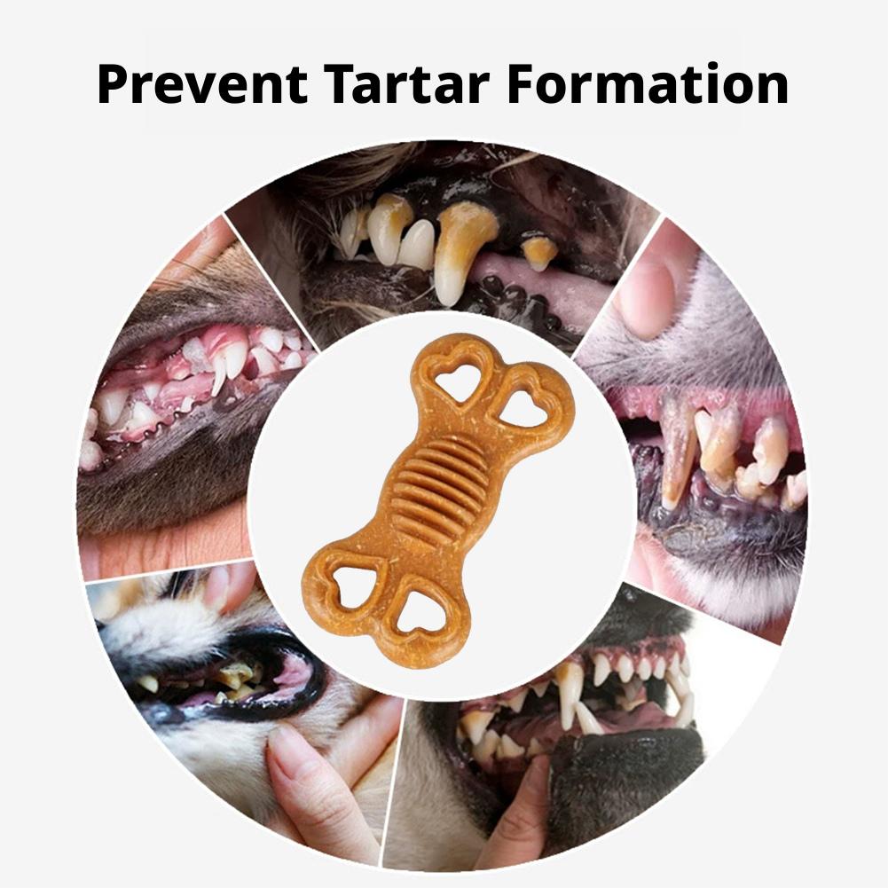 Unzerstörbares Hundekauknochen – Teeth Cleaning Dog Chew Bone Bewertung und Preis
