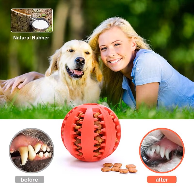 Interaktiver Silikon-Gummiball – Dog Puzzle Feeder Toy Bewertung und Preis