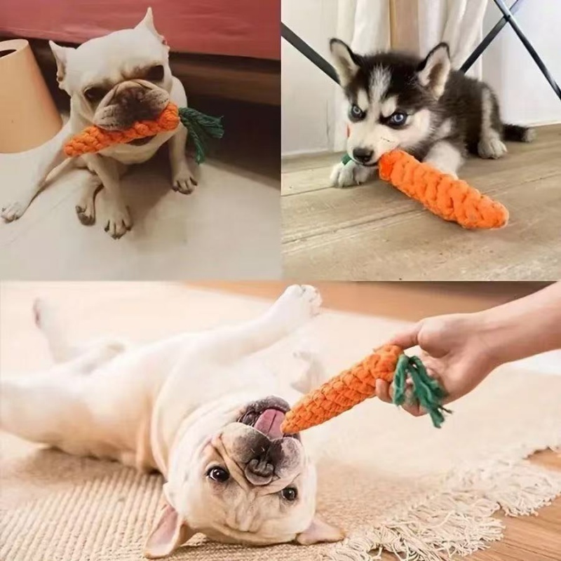 Hundekauspielzeug Karotten-Kno – Interactive Squeaky Plush Dog Toy Bewertung und Preis