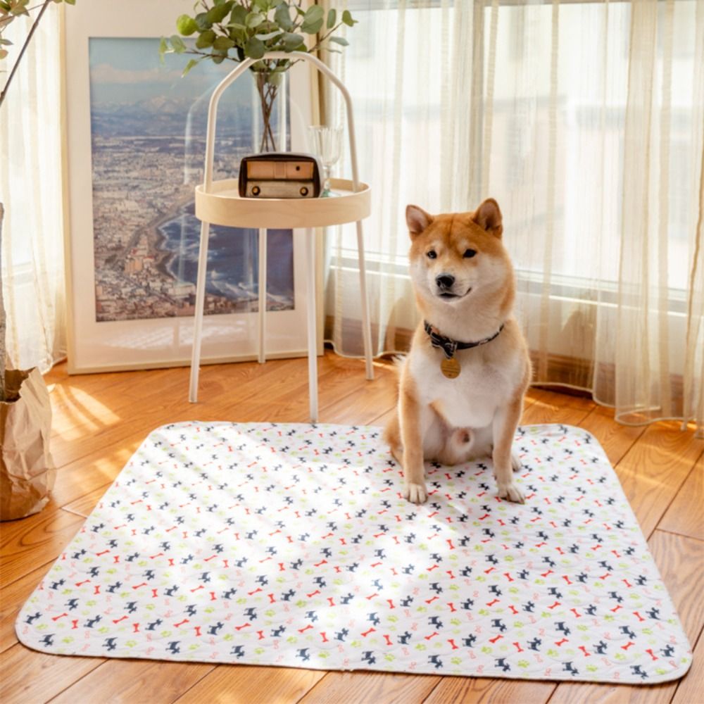 Superabsorbierende Haustier-Be – Pet Beds Bewertung und Preis