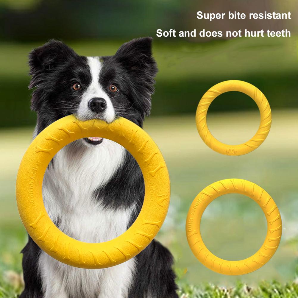 Hundespielzeugringe, unzerstör – Indestructible Dog Chew Toy Bewertung und Preis