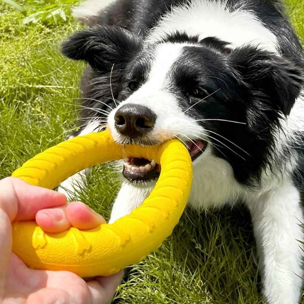 Hundespielzeugringe, unzerstör – Indestructible Dog Chew Toy Bewertung und Preis