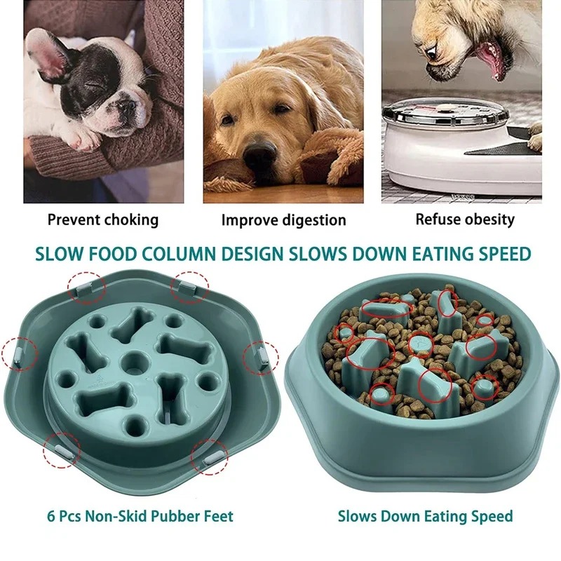 1 Stück Slow-Feeder Hundenapf  – Dog Puzzle Feeder Toy Bewertung und Preis